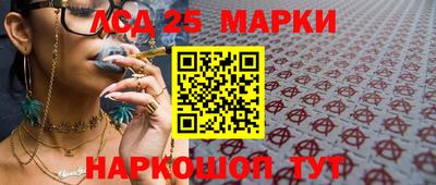гидропоника Будённовск