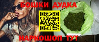 гидропоника Будённовск