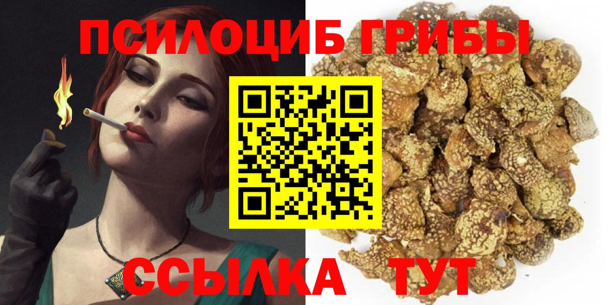 Псилоцибиновые грибы прущие грибы  Галлюциногенные грибы MAGIC MUSHROOMS  Новоалтайск  Вход с VPN 
