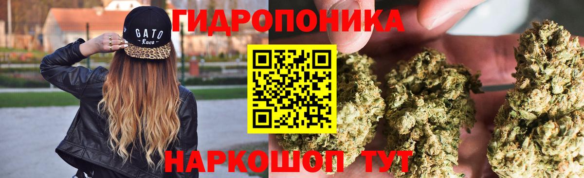 Конопля планчик Новоалтайск